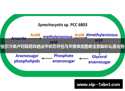 恰尔汗奥卢对阵阿森纳法甲状态评估与关键表现前瞻全面解析比赛走势