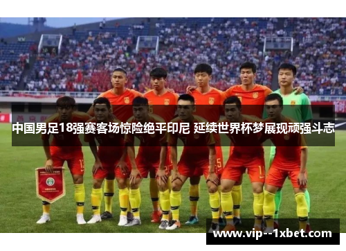中国男足18强赛客场惊险绝平印尼 延续世界杯梦展现顽强斗志 中国男足18强赛客场惊险绝平印尼 延续世界杯梦展现顽强斗志